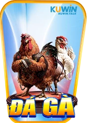 game đá gà kuwin